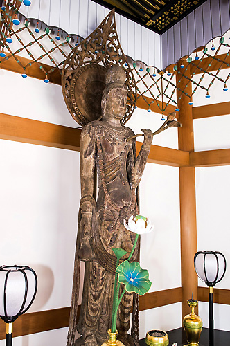 牡丹でつながる長谷寺の霊験－西新井大師「ぼたん観音」 - 仏像ワールド